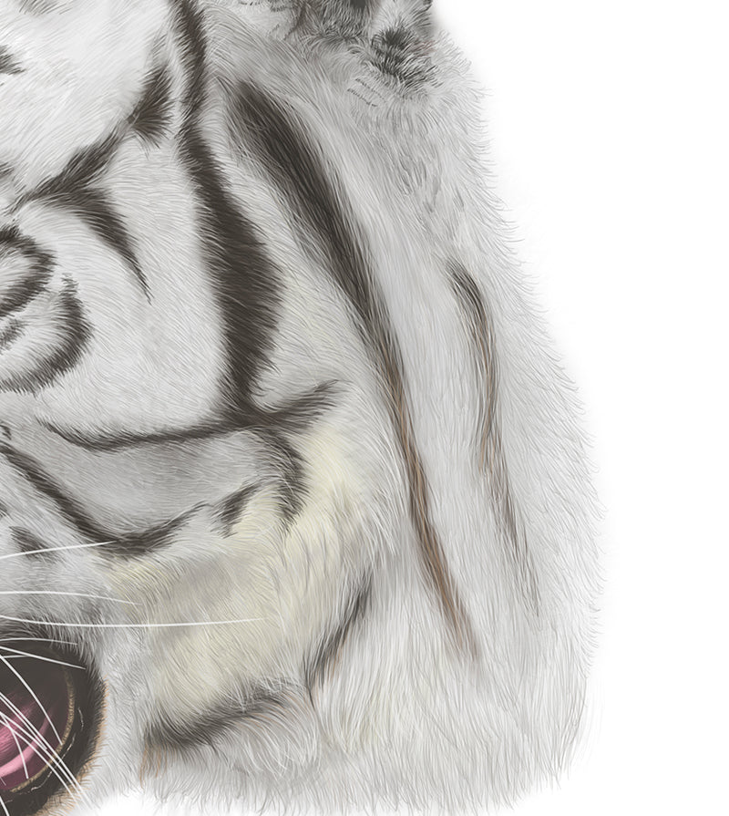 White tiger art print