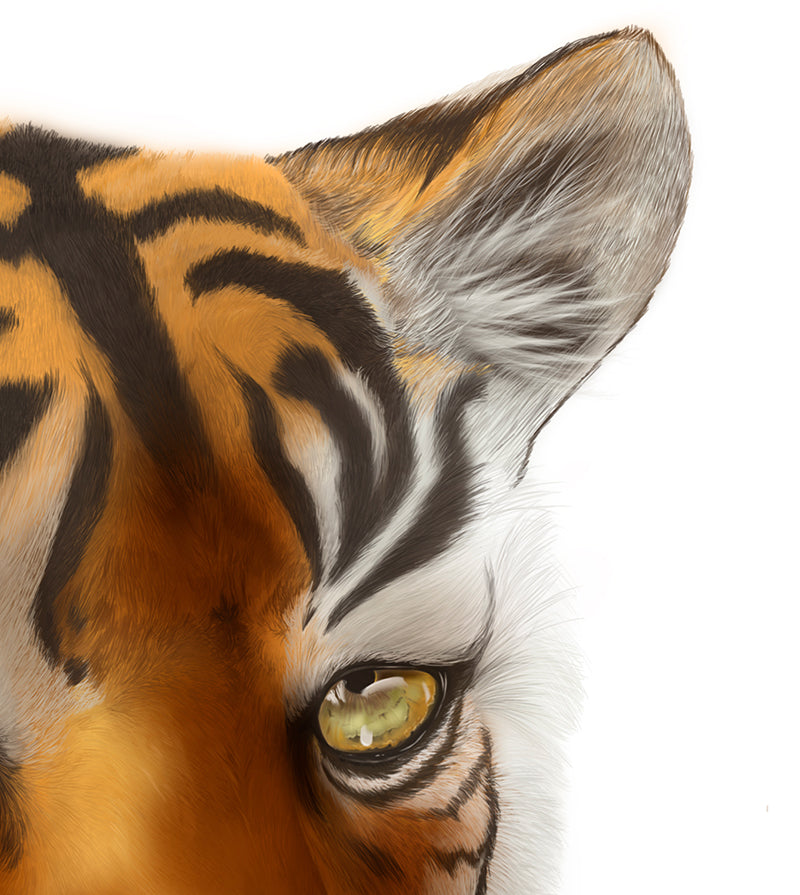 Tiger art print