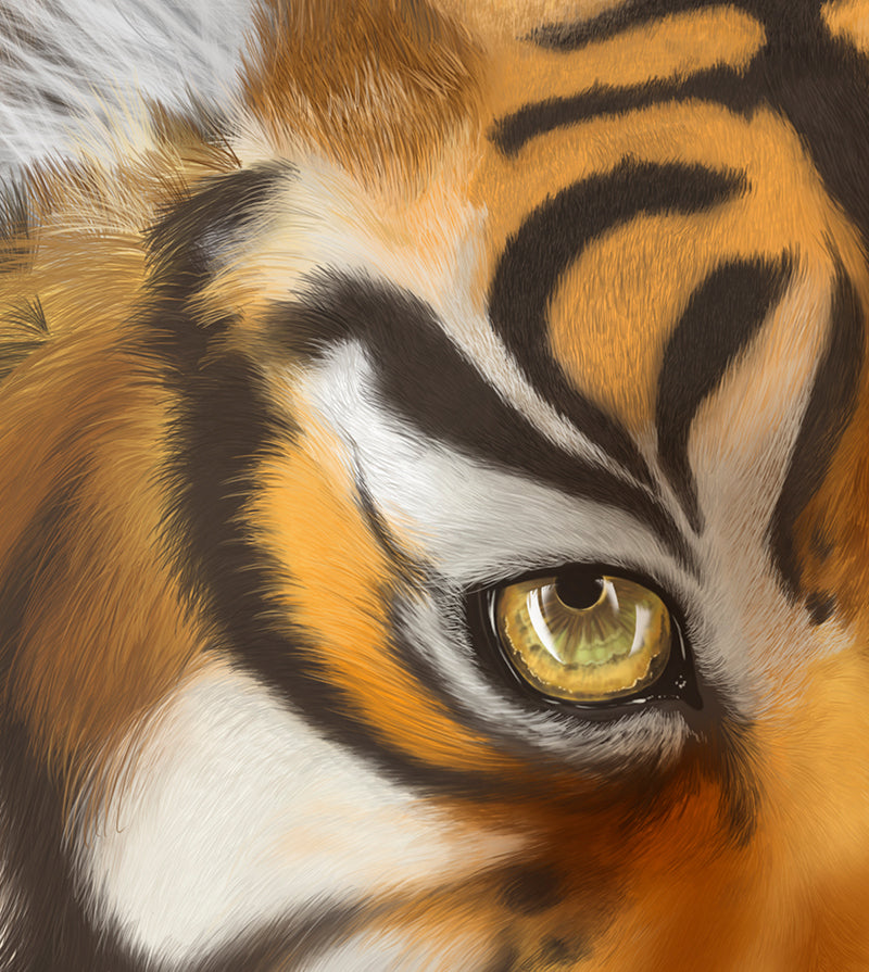 Tiger art print