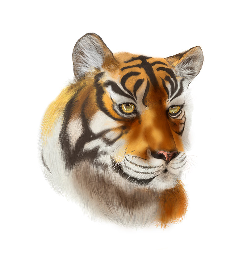 Tiger art print