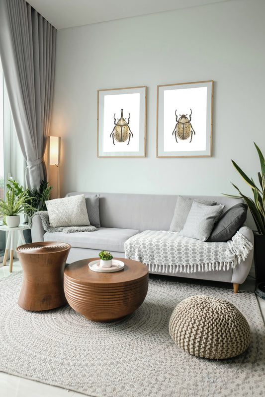 Art print pack - Unicorn beetle